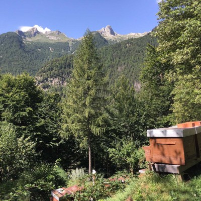 2 miele-vallemaggia-casa ambica