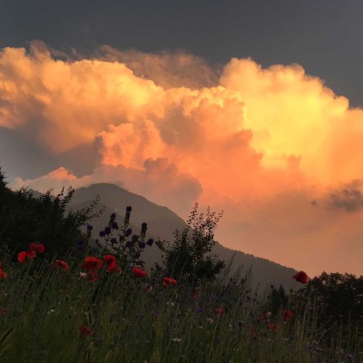 7 natura-Fusio casa-ambica