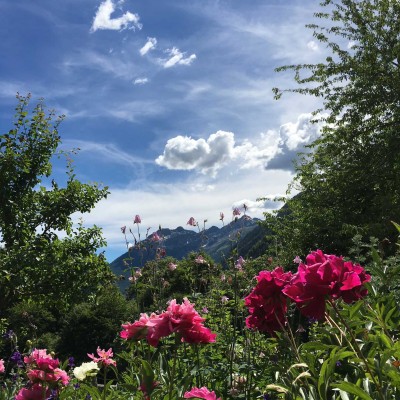 8 Natura Vallemaggia-casa-ambica